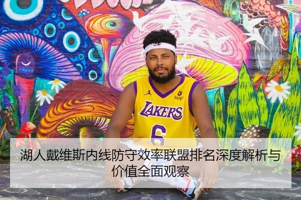湖人戴维斯内线防守效率联盟排名深度解析与价值全面观察